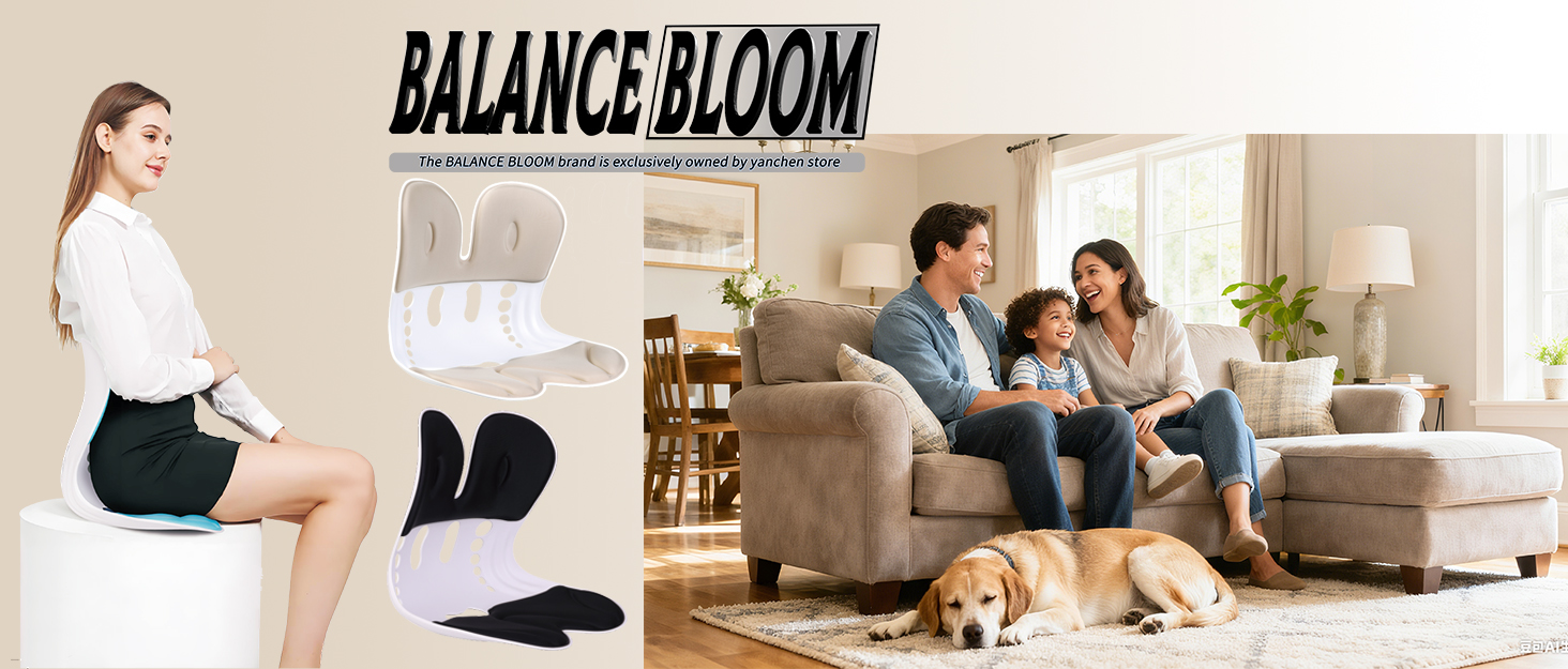 Back Support Chair
