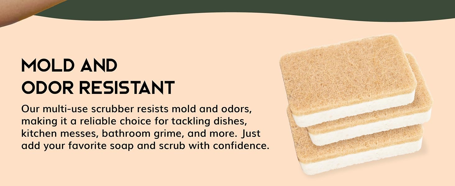 Greenzla Natural Sponges, natural kitchen sponge, dish sponge, plant based, household cleaning