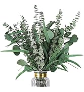 HIAGROW Eucalyptus Stems: Mixed Dried Eucalyptus Bundle 15PCS Natural Eucalyptus Garland Greenery...
