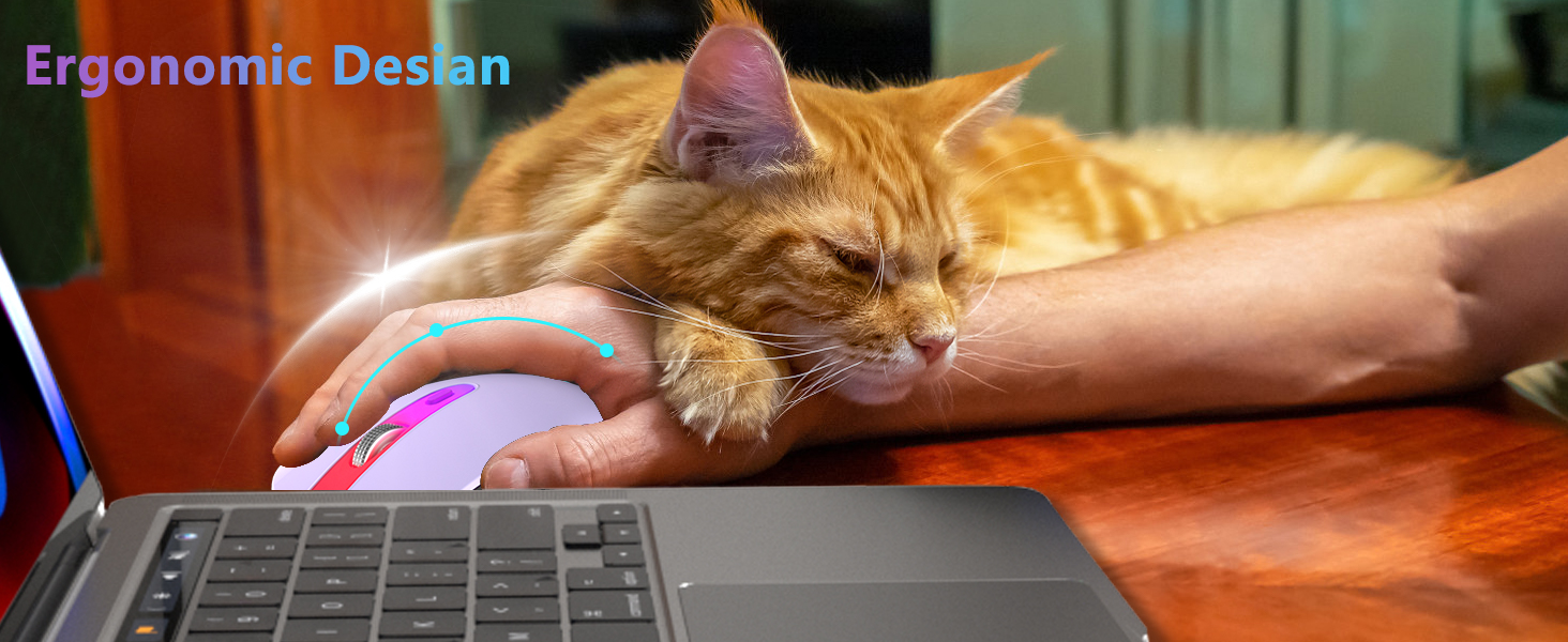 Wireless Bluetooth Mouse