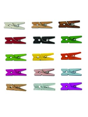 mini clothespins colorful color