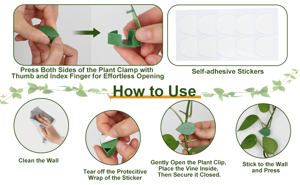 plant wall clips