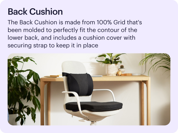 molded to perfectly fit the contour of the lower back, and includes a cover with securing strap