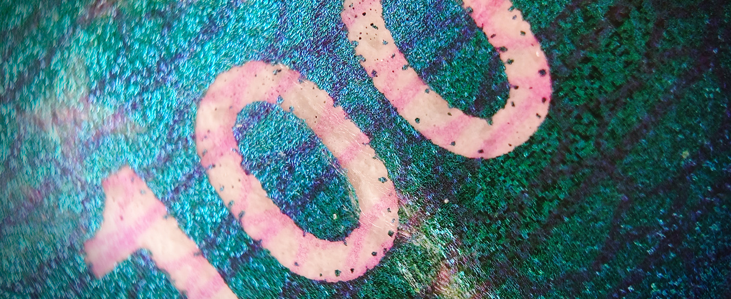 300X Phone Microscope Lens