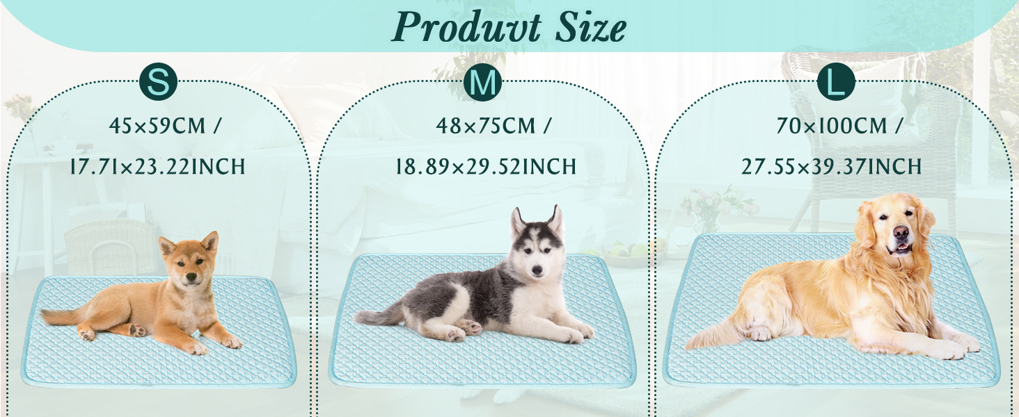 Multiple Sizes for Every Pet:
