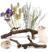 Apatal 2Pcs Hamster Climbing Branches Decor 11.8in Rat Tree Logs Toy Wooden Gerbil Habitat Orname...