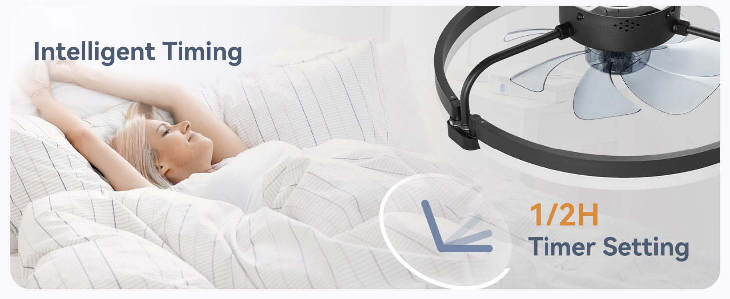 led ceiling fan