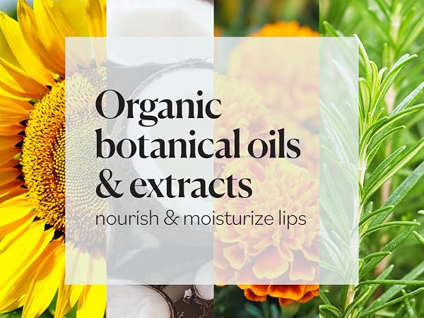 Sky Organics Organic Beeswax Lip Balms have organic botanical oils & extracts