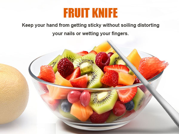 stainless steel fruit knife