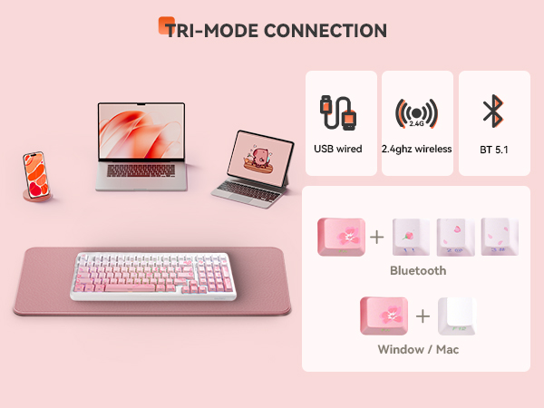 TRI-MODE CONNECTION