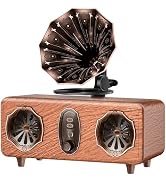 FREEFISH Retro Bluetooth Speaker Retro Radio with 5.4 Bluetooth Version, FM Radio, Bass Vintage W...