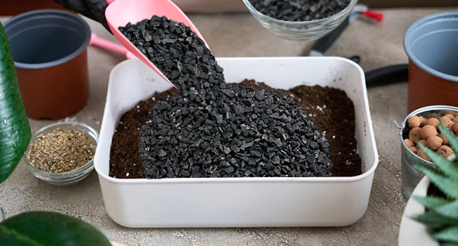Natural Horticultural Charcoal