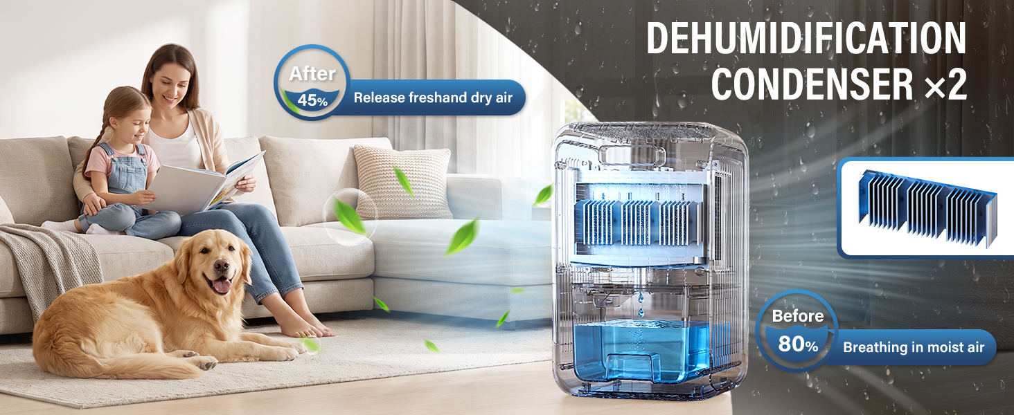 dehumidifier