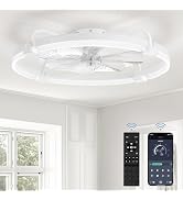 LEDIARY Ceiling Fans with Lights and Remote, 24'' Low Profile Ceiling Fan with Light, 3000-6000K ...