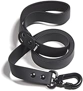 Barkbox Dog Leash (Large (1in. x 5ft.), Black)