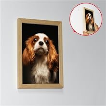 Picture frame magnet