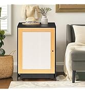 NRSVIAN Black Cat Litter Box Enclosure Furniture - Hidden Washroom Cabinet with Sisal Scratching ...