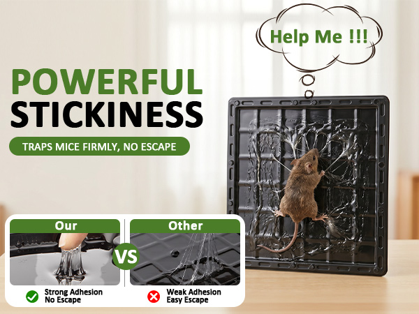 mouse traps