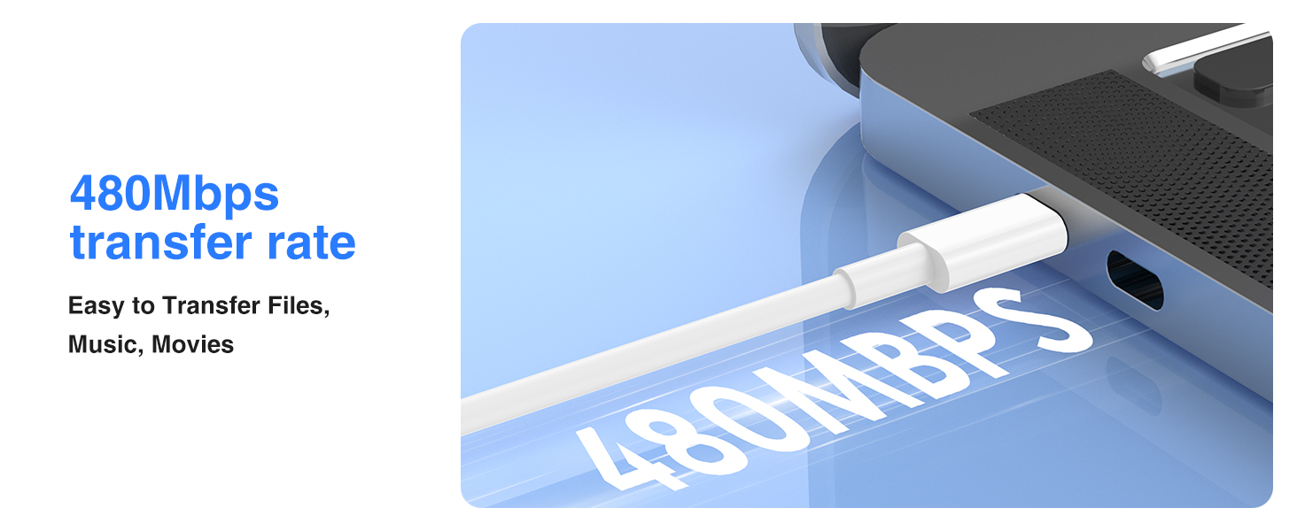 480Mbps transfer rate