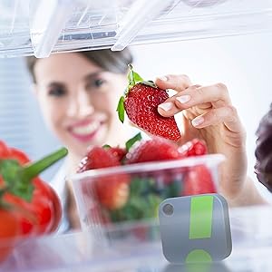 SensorPush in Refrigerator