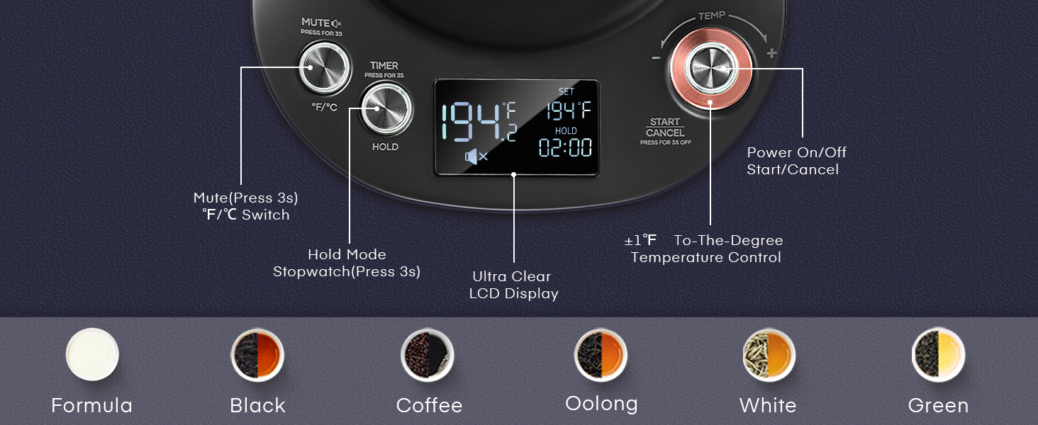 Electric Gooseneck Kettle Temperature Control