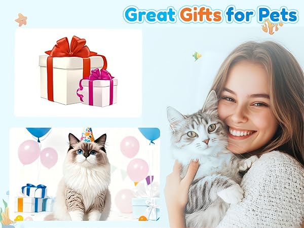 interactive cat toy