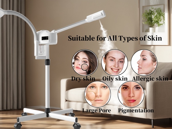 face steamer