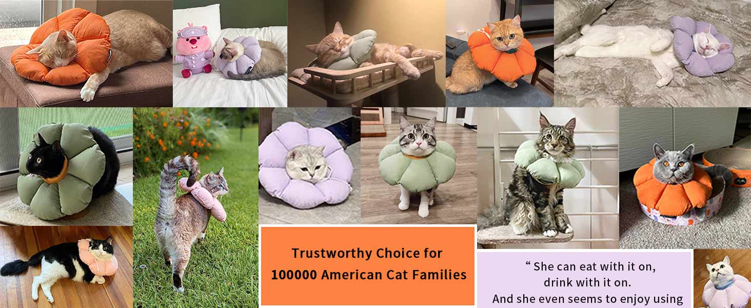 1-1cat cone