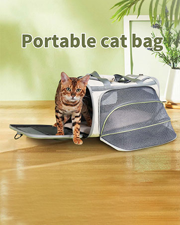 https://m.media-amazon.com/images/S/aplus-media-library-service-media/ccba89ba-b3e3-4fce-b375-d49d1d48731d.__CR0,0,362,453_PT0_SX362_V1___.jpeg