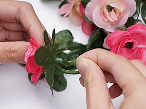 rose vines
