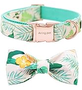 ARING PET Bowtie Dog Collar Adjustable Collars with Bow Tie for Dogs Small Medium Large