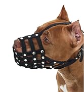 leather dog muzzle