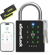 Dhiedas New Smart Padlock with Key, Heavy Duty Combination Padlock, RFID Pad Lock with Codes Blue...