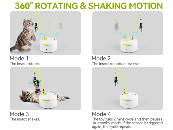 3243 cat toy