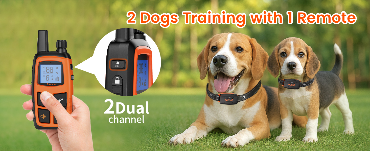 Collar for Dogs