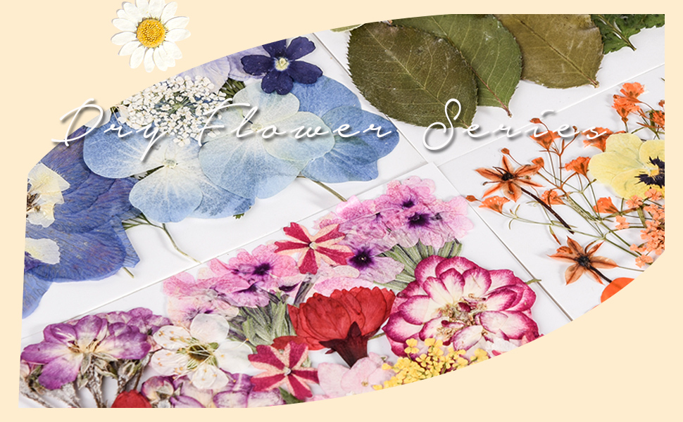 pressed flowers