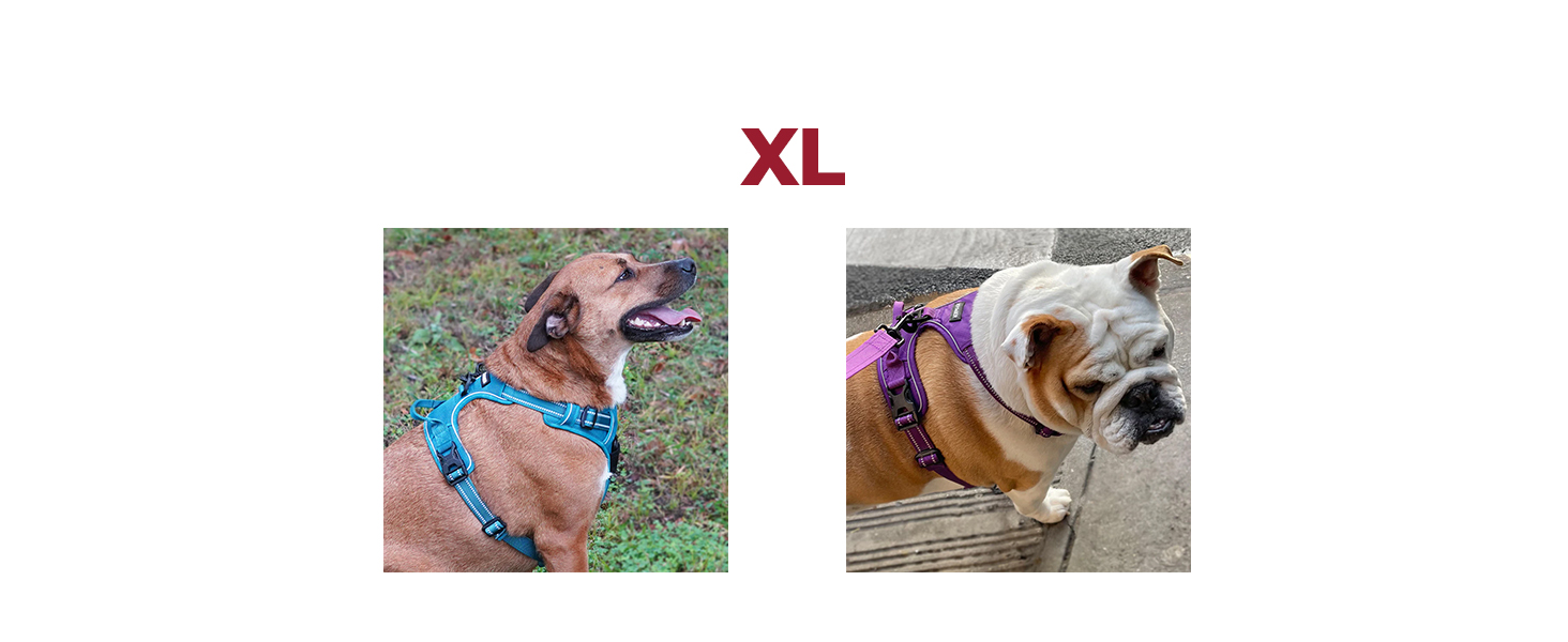pulling harness for dogs