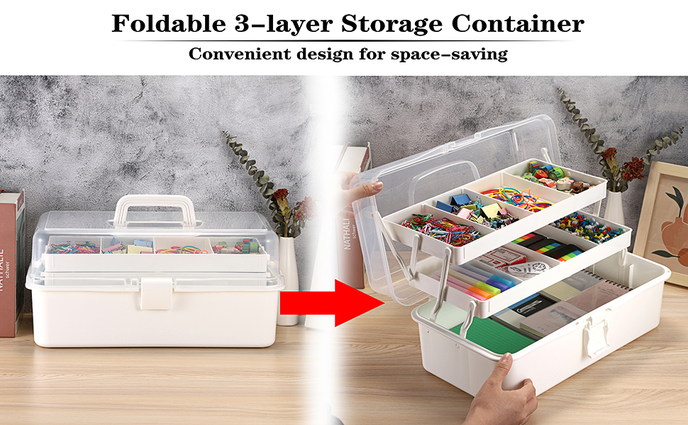 Craft Organzier