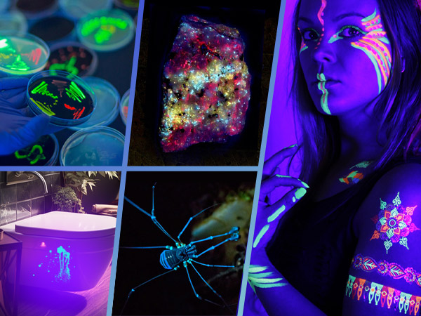 uv flashlight rechargeable -1