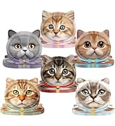 Funhax 48 PCS Cat Birthday Party Decorations Cat Birthday Paper Plates Cat Theme Disposable Pet P...