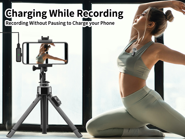 Noise cancelling mic
