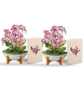 Freshcut Paper Pop Up Cards, Mini Orchid Oasis (Set of 2), 6 Inch Mini Sized Forever Flower Bouqu...