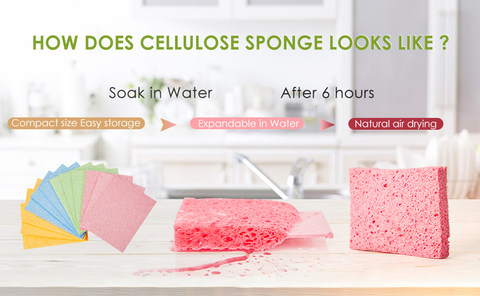 Cellulose sponge is hydrophilic and oil-free wood pulp sponge