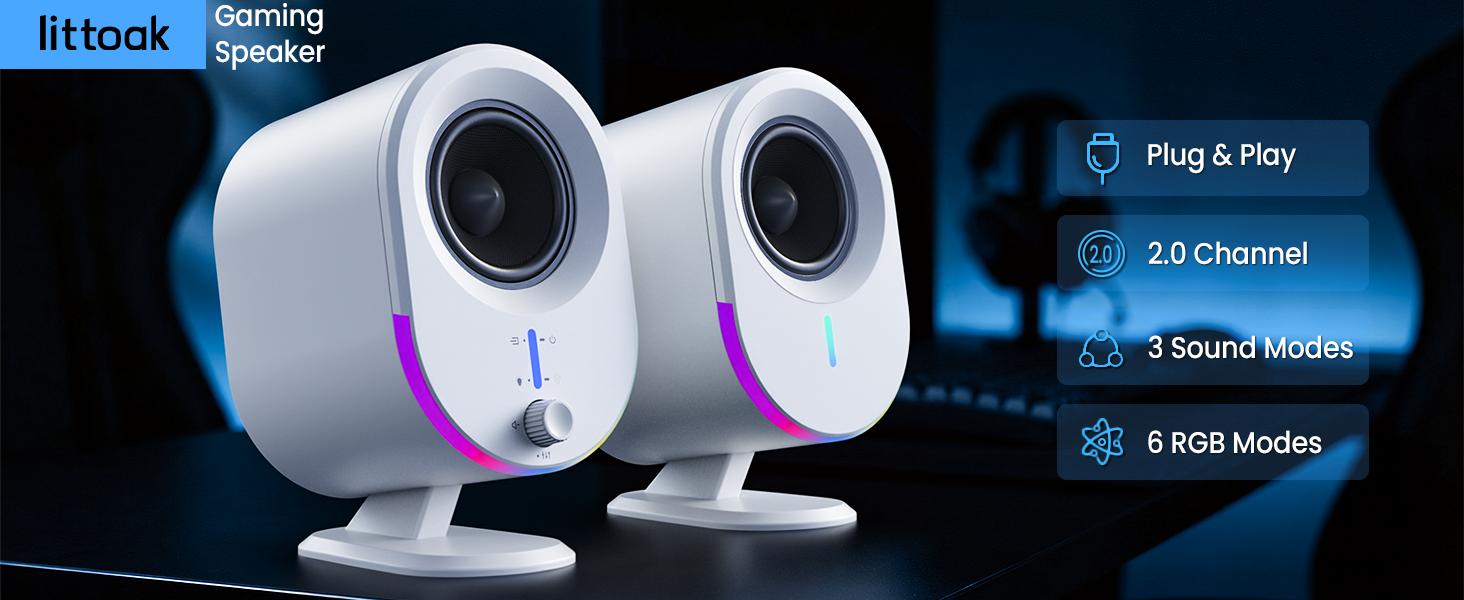 Computer Speakers
