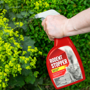 Rodent stopper trigger sprayer bottle in use