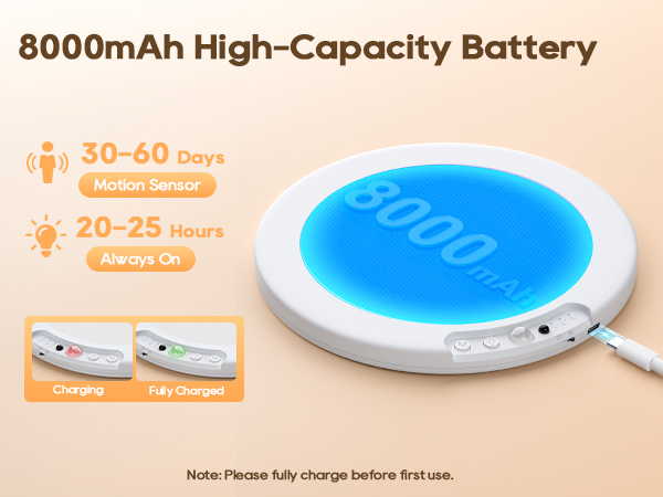 rechargeable light