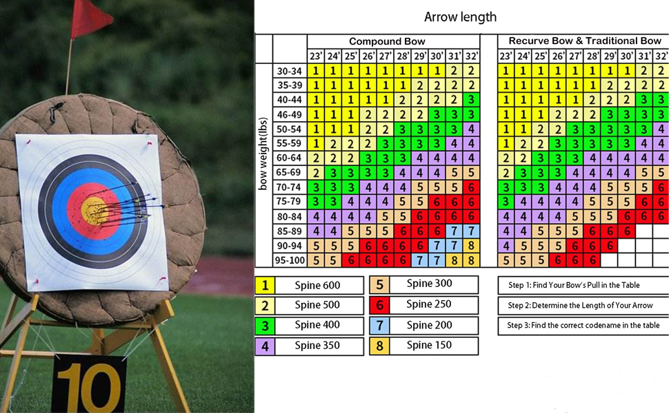 33 inch Carbon Arrow Hunting Arrows 400 Spine with Turkey Feather Fletching