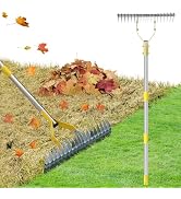 Thatch Rake, 2 in 1 Stainless Steel Garden Rake for Thatch Leaves,55” Heavy Duty 19 Tines Lawn Ma...