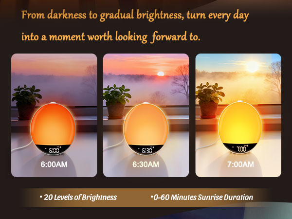 Sunlight Alarm Clock