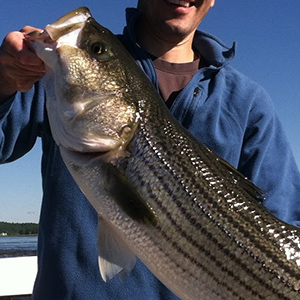 Circle Hooks Rigs